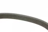 Поліклиновий ремінь (6PK1600) AUDI A1 CHRYSLER PT CRUISER OPEL COMBO, COMBO TOUR, CORSA C, MERIVA A PEUGEOT 406, 605 RENAULT ESPACE III, LAGUNA I, SAFRANE II SEAT ALHAMBRA 1.4-3.0 10.96- BOSCH 1 987 946 060 (фото 3)