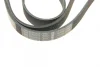 Поліклиновий ремінь (6PK1600) AUDI A1 CHRYSLER PT CRUISER OPEL COMBO, COMBO TOUR, CORSA C, MERIVA A PEUGEOT 406, 605 RENAULT ESPACE III, LAGUNA I, SAFRANE II SEAT ALHAMBRA 1.4-3.0 10.96- BOSCH 1 987 946 060 (фото 4)