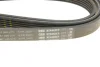 Ремінь генератора Mitsubishi Lancer VIII 1.8/2.0 08- (6PK2625) BOSCH 1 987 946 075 (фото 4)