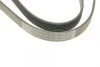 Поліклиновий ремінь (6PK1325) ALFA ROMEO MITO AUDI 100 C4 FIAT 500L, 500X, FIORINO, GRANDE PUNTO, LINEA, PUNTO, PUNTO EVO, QUBO, TIPO MAZDA 3, 5 OPEL CORSA D, MERIVA B 1.3D-2.5D 12.90- BOSCH 1 987 946 078 (фото 5)