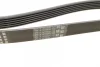 Ремінь генератора VW T5/Golf 2.3-3.2 V6 03-09/Audi A4/A6/Q5 2.0TDI 08-17 (6PK1264) BOSCH 1 987 946 102 (фото 2)