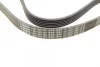 Ремінь генератора VW T5/Golf 2.3-3.2 V6 03-09/Audi A4/A6/Q5 2.0TDI 08-17 (6PK1264) BOSCH 1 987 946 102 (фото 3)