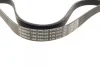 Поліклиновий ремінь (6PK1270) FIAT BRAVO II, STILO FORD C-MAX II, FOCUS III, GALAXY III, GRAND C-MAX, KUGA II, MONDEO V, S-MAX FORD USA EDGE 1.9D/2.0D 10.01-03.22 BOSCH 1 987 946 103 (фото 2)