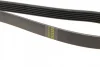 Поліклиновий ремінь (6PK1270) FIAT BRAVO II, STILO FORD C-MAX II, FOCUS III, GALAXY III, GRAND C-MAX, KUGA II, MONDEO V, S-MAX FORD USA EDGE 1.9D/2.0D 10.01-03.22 BOSCH 1 987 946 103 (фото 3)