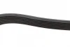 Поліклиновий ремінь (6PK1270) FIAT BRAVO II, STILO FORD C-MAX II, FOCUS III, GALAXY III, GRAND C-MAX, KUGA II, MONDEO V, S-MAX FORD USA EDGE 1.9D/2.0D 10.01-03.22 BOSCH 1 987 946 103 (фото 4)