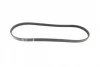 Ремінь генератора BMW 3 (E46)/X3 (E83) 01-07/Fiat Stilo 1.6 16V 01-08 (4PK917) (M47) BOSCH 1 987 946 127 (фото 5)