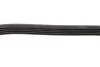 Ремінь генератора Ford C-Max/ Focus/ Volvo S40 1.8-2.0 06-12 (5PK705) BOSCH 1 987 946 134 (фото 4)