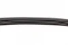 Ремінь генератора Ford Fiesta/Fusion 1.25/1.4/1.6 01-12 (5PK690) BOSCH 1 987 946 141 (фото 4)