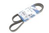 Фото 2 - ремінь генератора Ford Focus II/C-Max/Volvo C30/S40 II/V50 1.8/2.0 04-12 (6PK1249) 1 987 946 173 BOSCH 1987946173 Ремінь генератора Ford Focus II/C-Max/Volvo C30/S40 II/V50 1.8/2.0 04-12 (6PK1249) 1 987 946 173 BOSCH 1987946173 (фото 2)