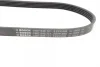 Ремінь генератора Ford Focus 1.4/1.6i 03- (6PK1059+5PK868) К-кт BOSCH 1 987 946 196 (фото 3)