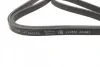 Ремінь генератора Volvo C70/S60/S70/S80/XC90 2.0T/2.4D/3.0T6 98-14 (6DPK1825) BOSCH 1 987 946 202 (фото 2)