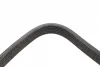 Ремінь генератора Volvo C70/S60/S70/S80/XC90 2.0T/2.4D/3.0T6 98-14 (6DPK1825) BOSCH 1 987 946 202 (фото 4)