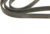 Ремінь генератора Volvo C70/S40/S60/S80/V40/V70/XC70/XC90 95-14 (6PK1841) BOSCH 1 987 946 208 (фото 4)