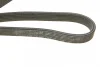 Ремінь генератора Volvo C70/S40/S60/S80/V40/V70/XC70/XC90 95-14 (6PK1841) BOSCH 1 987 946 208 (фото 5)