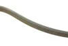 Ремінь генератора VW T5 1.9TDI/VW Caddy 1.9/2.0TDI (+AC) (6PK1215) BOSCH 1 987 946 210 (фото 2)