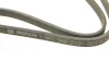 Ремінь генератора VW T5 1.9TDI/VW Caddy 1.9/2.0TDI (+AC) (6PK1215) BOSCH 1 987 946 210 (фото 4)