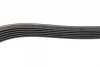 Ремінь генератора Fiat Bravo 1.6/2.0D 07-14/Croma 1.9D 05- (6PK1395) BOSCH 1 987 946 241 (фото 4)