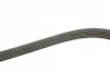 Ремінь генератора Audi A4/A6/A8/Q7 2.7/3.0TDI 04- (6PK2490) BOSCH 1 987 946 246 (фото 2)