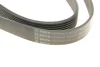 Ремінь генератора VW Touareg 3.0 Hybrid 10-18/Audi A4/A6/A7/Q5/Q7 3.0TFSI 08-17 (7PK1275) BOSCH 1 987 946 251 (фото 6)