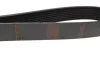 Ремінь генератора Mazda 3/5/6 2.0 DI/CD 02-10 (8PK1225) BOSCH 1 987 946 266 (фото 2)