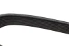 Ремінь генератора Mazda 3/5/6 2.0 DI/CD 02-10 (8PK1225) BOSCH 1 987 946 266 (фото 4)