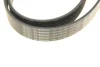 Поліклиновий ремінь (8PK2093) LAND ROVER DISCOVERY III, RANGE ROVER SPORT I 2.7D 07.04-03.13 BOSCH 1 987 946 268 (фото 4)