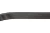 Ремінь генератора VW T4 2.5TDI 90-03 (6PK2213) BOSCH 1 987 946 275 (фото 2)