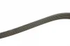 Ремінь генератора Citroen Jumpy 2.0HDI 10- (6PK1245) BOSCH 1 987 946 280 (фото 3)