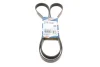 Ремінь генератора Ford Connect 1.8 TDCI 02-13 (6PK1720) BOSCH 1 987 946 295 (фото 1)