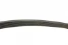 Ремінь генератора Ford Connect 1.8 TDCI 02-13 (6PK1720) BOSCH 1 987 946 295 (фото 3)