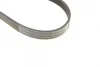 Ремінь генератора Ford Connect 1.8 TDCI 02-13 (6PK1720) BOSCH 1 987 946 295 (фото 4)
