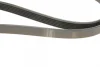 Ремінь генератора Ford Connect 1.8 TDCI 02-13 (6PK1720) BOSCH 1 987 946 295 (фото 5)