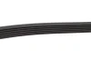 Ремінь генератора Land Rover Discovery III 4.4 04-13/Cadillac Escalade 6.0 01-06 (6PK2345) BOSCH 1 987 946 297 (фото 4)