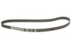 Фото 2 - комплект ГРМ Audi A3/A4/A6/TT/Skoda Octavia/VW Golf 1.8T 96-10 (23x150z) BOSCH 1 987 946 347 Комплект ГРМ Audi A3/A4/A6/TT/Skoda Octavia/VW Golf 1.8T 96-10 (23x150z) BOSCH 1 987 946 347 (фото 2)