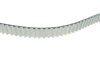 Фото 3 - комплект ГРМ + помпа Citroen C5/C6/C8/Fiat/Ford/Peugeot 2.2HDI 06- (25.4x118z) 1 987 946 496 BOSCH 1987946496 Комплект ГРМ + помпа Citroen C5/C6/C8/Fiat/Ford/Peugeot 2.2HDI 06- (25.4x118z) 1 987 946 496 BOSCH 1987946496 (фото 3)