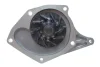 Комплект ГРМ + помпа Renault Kangoo 1.5dCi 01- (123x27), K9K, 42/48/60kw BOSCH 1 987 946 981 (фото 7)