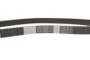 Комплект ГРМ + помпа Renault Clio/Kangoo/Megane/Scenic/Dacia Duster/Logan 1.5dCi 05- (27x123z) 1 987 946 983 BOSCH 1987946983 (фото 9)
