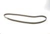 Комплект ГРМ + помпа Fiat Doblo/Stilo/Punto/Bravo 1.9D/JTD 01- (24x190z) BOSCH 1 987 946 986 (фото 2)