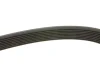 Ремінь генератора Mazda 6 2.0 MZR-CD 07-10/MPV 2.0 DI 02-06 (8PK1230) BOSCH 1 987 947 047 (фото 3)