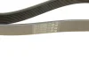 Ремінь генератора Mazda 6 2.0 MZR-CD 07-10/MPV 2.0 DI 02-06 (8PK1230) BOSCH 1 987 947 047 (фото 4)