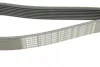 Ремінь генератора MB Truck Atego 98- (8PK1480) (OM904-909) BOSCH 1 987 947 052 (фото 5)