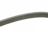 Ремінь генератора Skoda Octavia 1.4/1.6 96-10/BMW 5 (E60)/X5 (E53) 01-09 (N47/M62) (6PK1548) BOSCH 1 987 947 547 (фото 2)