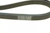 Ремінь генератора Chevrolet Lacetti/Nubira 2.0D 05- (6PK2094) BOSCH 1 987 947 549 (фото 5)