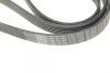 Ремінь генератора Audi A4-A6/Q5 2.7/3.0TDI 05-/Hyundai Santa Fe/Kia Sorento 2.0-2.2CRDi 09-(6PK2498) BOSCH 1 987 947 564 (фото 4)