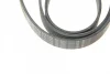 Ремінь генератора Audi A4-A6/Q5 2.7/3.0TDI 05-/Hyundai Santa Fe/Kia Sorento 2.0-2.2CRDi 09-(6PK2498) BOSCH 1 987 947 564 (фото 5)