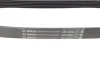 Ремінь генератора Nissan Almera 1.6i 16V 06- (6PK810) BOSCH 1 987 947 575 (фото 2)