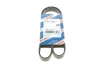 Ремінь генератора Peugeot Partner 1.6 VTi 08-/Renault Kangoo/Scenic 1.5dCi/1.6 13- (6PK1205) BOSCH 1 987 947 577 (фото 1)