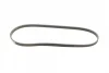 Ремінь генератора BMW X5 (E53) 3.0D 03-/Opel Astra G 1.7TD -00 (4PK884) BOSCH 1 987 947 807 (фото 2)