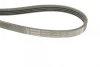 Ремінь генератора Fiat Brava 95-01/Peugeot 205/305 83-89/Renault Espace/Laguna 3.0 96-01 (4PK962) BOSCH 1 987 947 809 (фото 5)