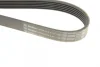 Ремінь генератора Renault Kangoo 1.9D 97-/Mazda 3/6/CX-5 2.2D 12-/Fiat Scudo 2.0 00-06 (6PK1190) BOSCH 1 987 947 818 (фото 5)
